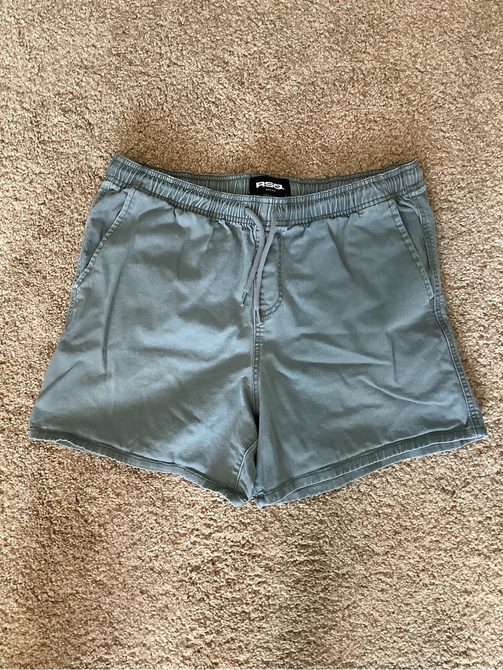 RSQ Men's Athletic Drawstring Shorts in Sage Green